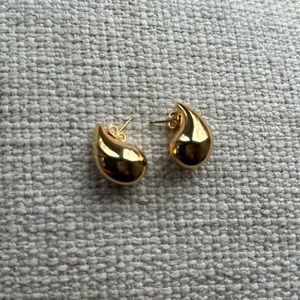 Bottega earrings